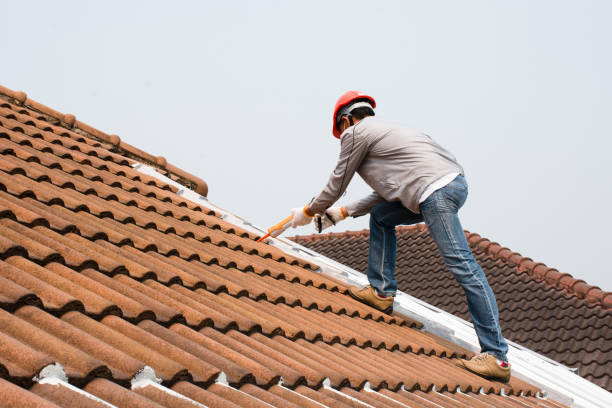 Best Roof Moss and Algae Removal  in Weber City, VA